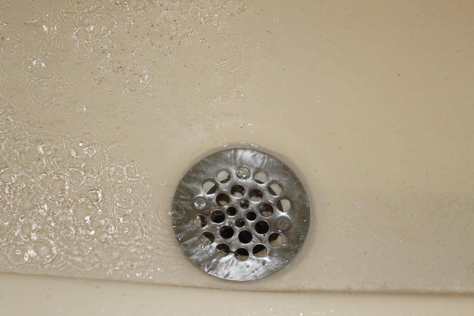 Poquoson Shower Drain Install