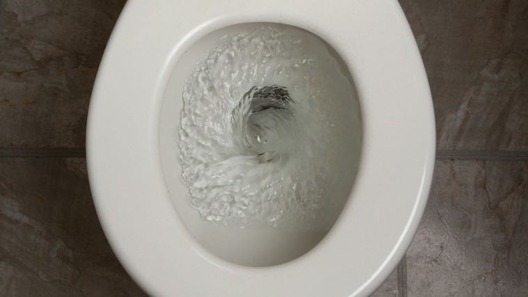 Poquoson Toilet Drain Install