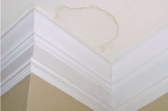 Plumbing Water Damaged Ceiling Hampton VA