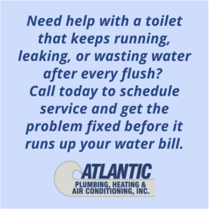 Toilet Runs
